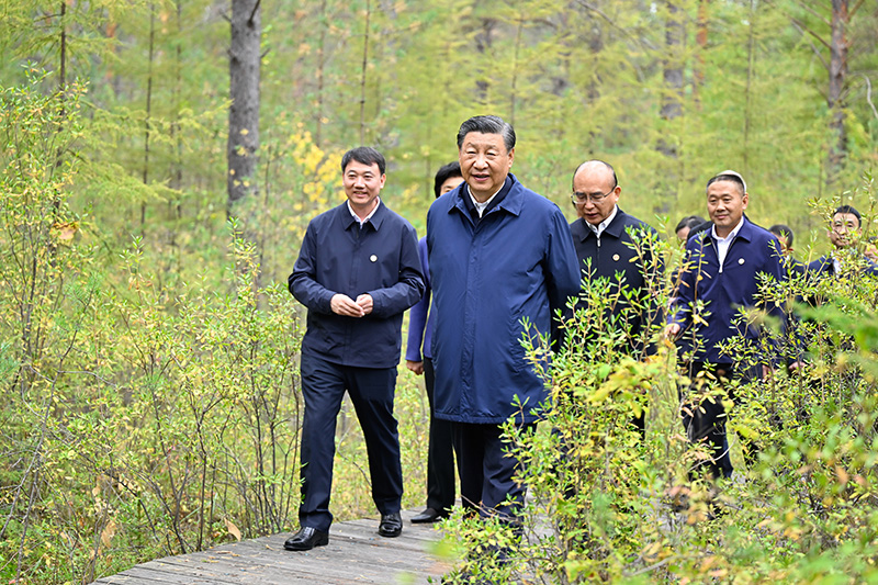 9月6日至8日，中共中央总书记、国家主席、中央军委主席习近平在黑龙江考察。这是6日下午，习近平在大兴安岭地区漠河市漠河林场自然林区考察